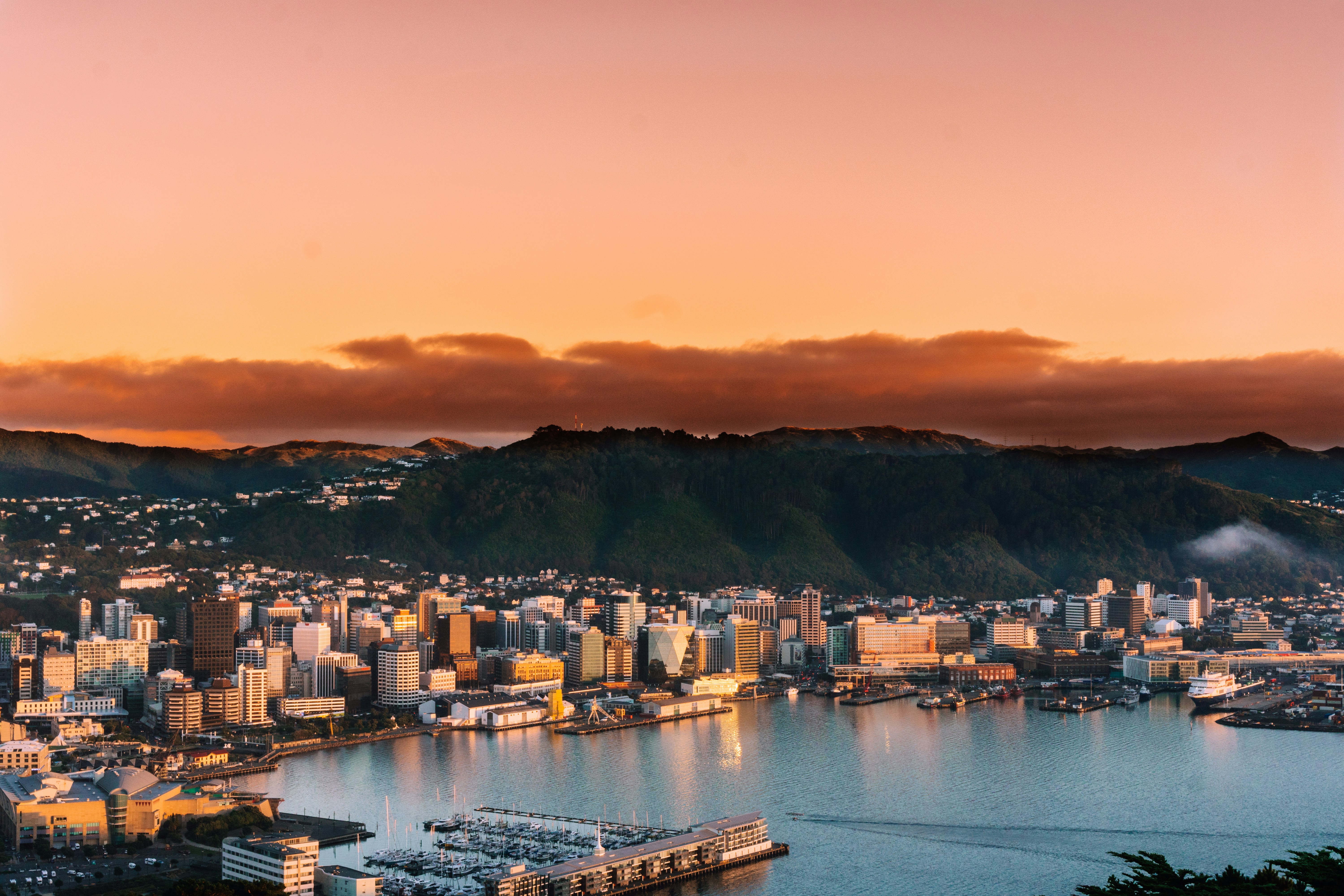 A wonderful view of the central Wellington harbor region